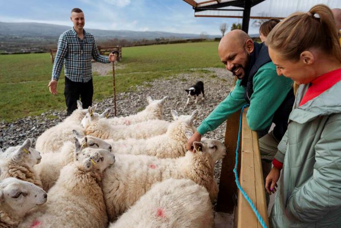 A man and woman enjoying petting the sheep as the guide, Jamese Stands in the distance with his sheepdog