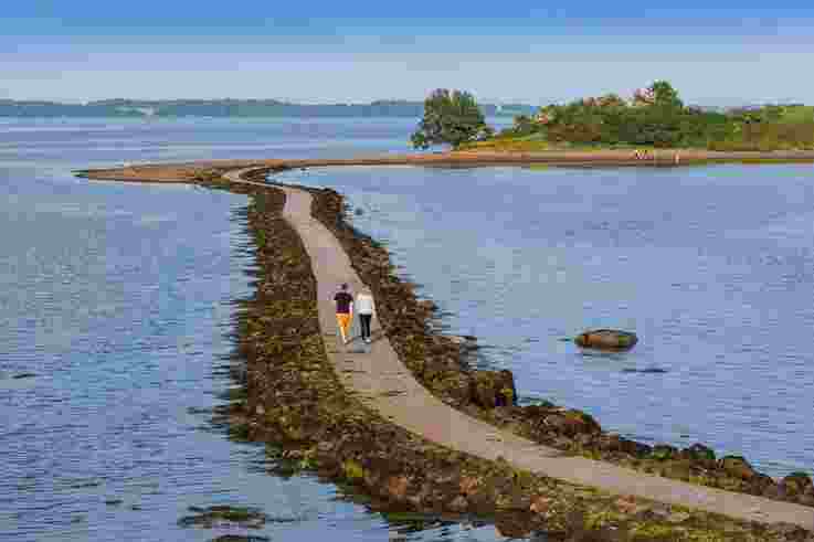 Couple walking to Rough Island, Strangford
