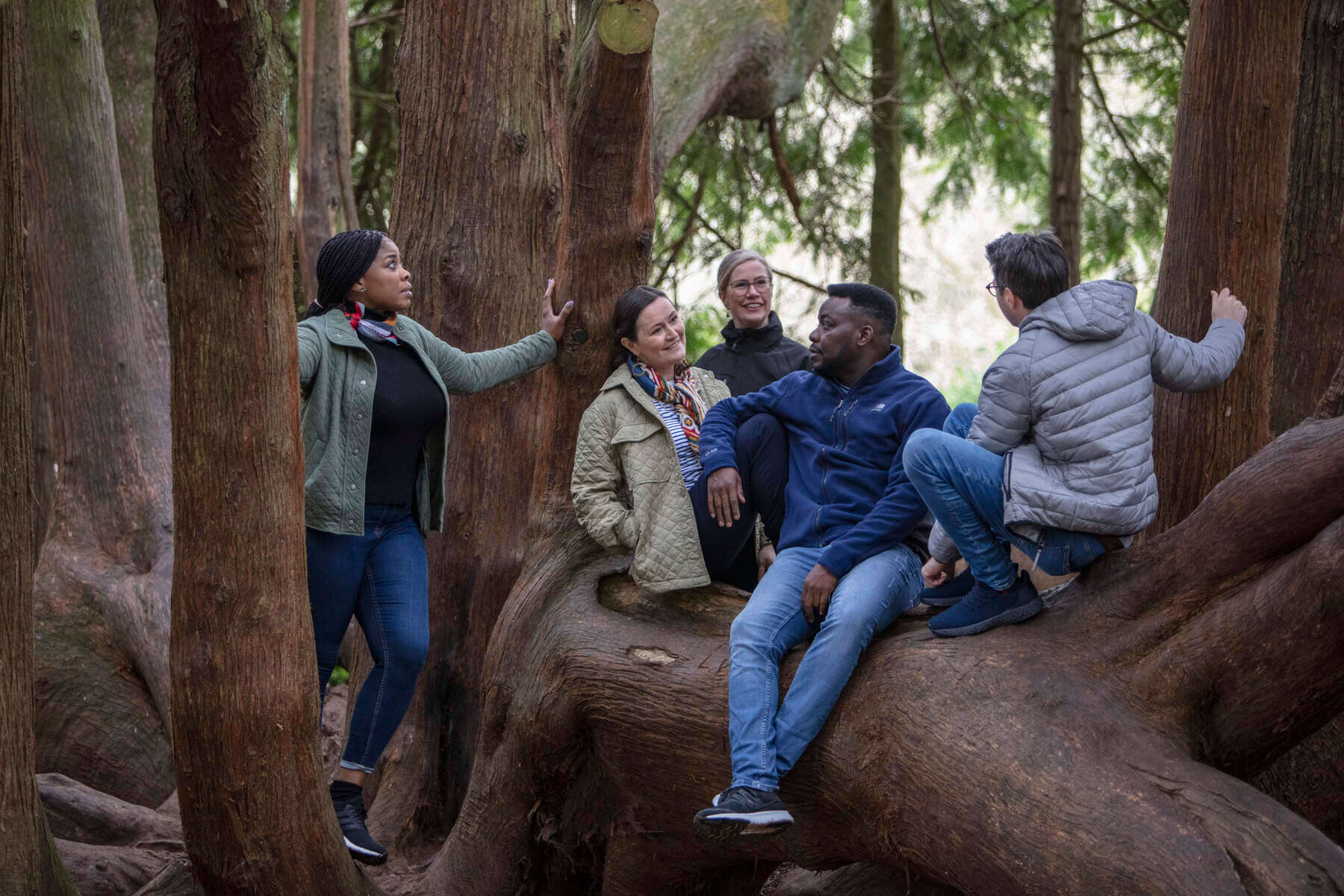 An exploration of the surprisingly unspoilt forests on the edge of Belfast City that gives you plenty of food for thought. Get a taste of the beautiful landscapes on Belfast’s periphery and a flavour of the Lagan Valley Regional Park, with this small group, walking and artisan food experience, led by locally lived guide Nikki Elliott.